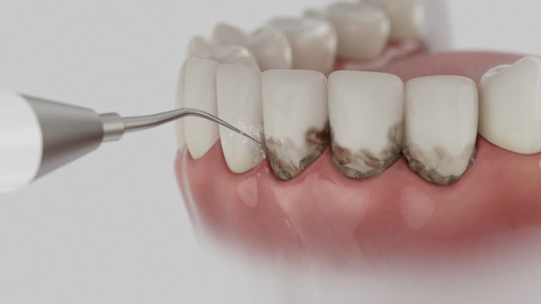 Reliable Dental contractor in Ravenel, SC by Dentist Open Now